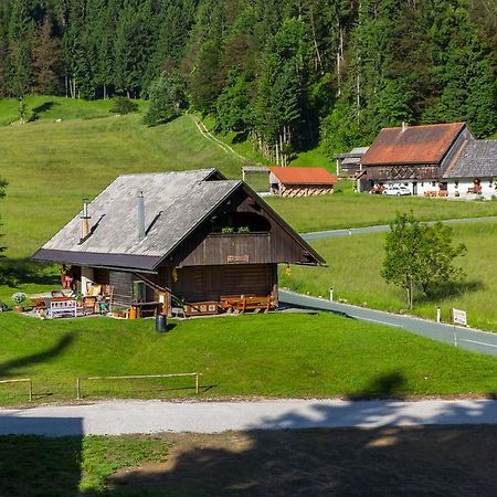 Brunarica Bled Zatrnik Pokljuka Ngoại thất bức ảnh