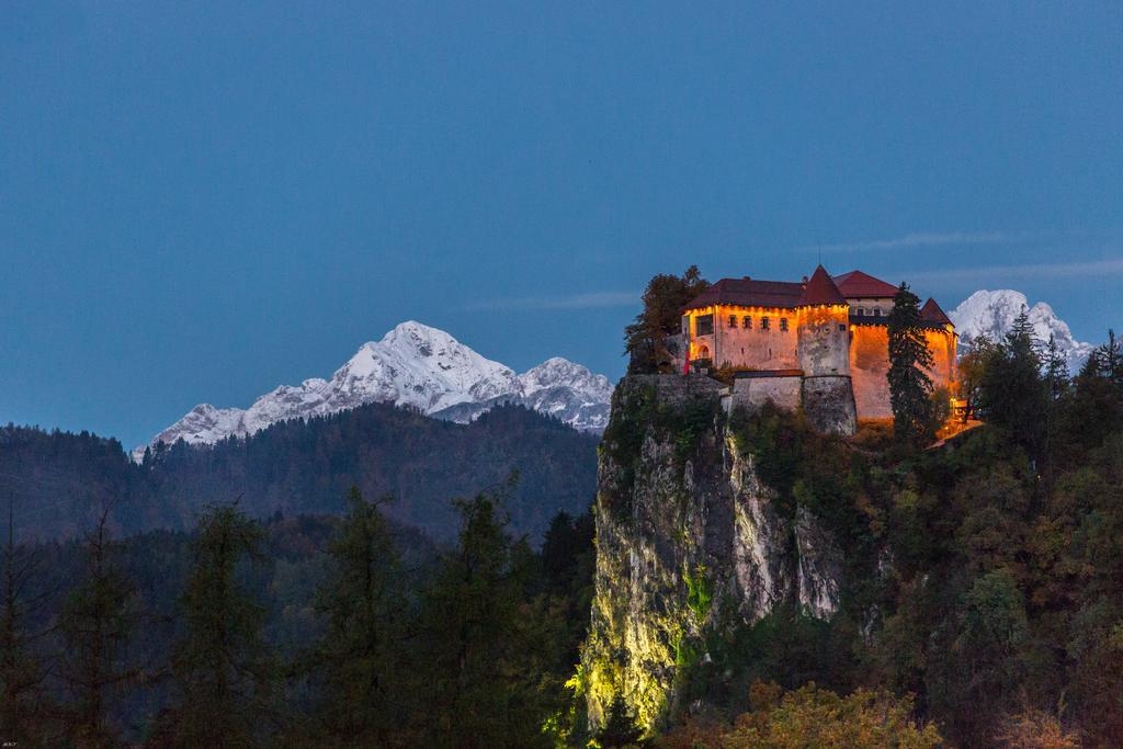 Brunarica Bled Zatrnik Pokljuka Ngoại thất bức ảnh