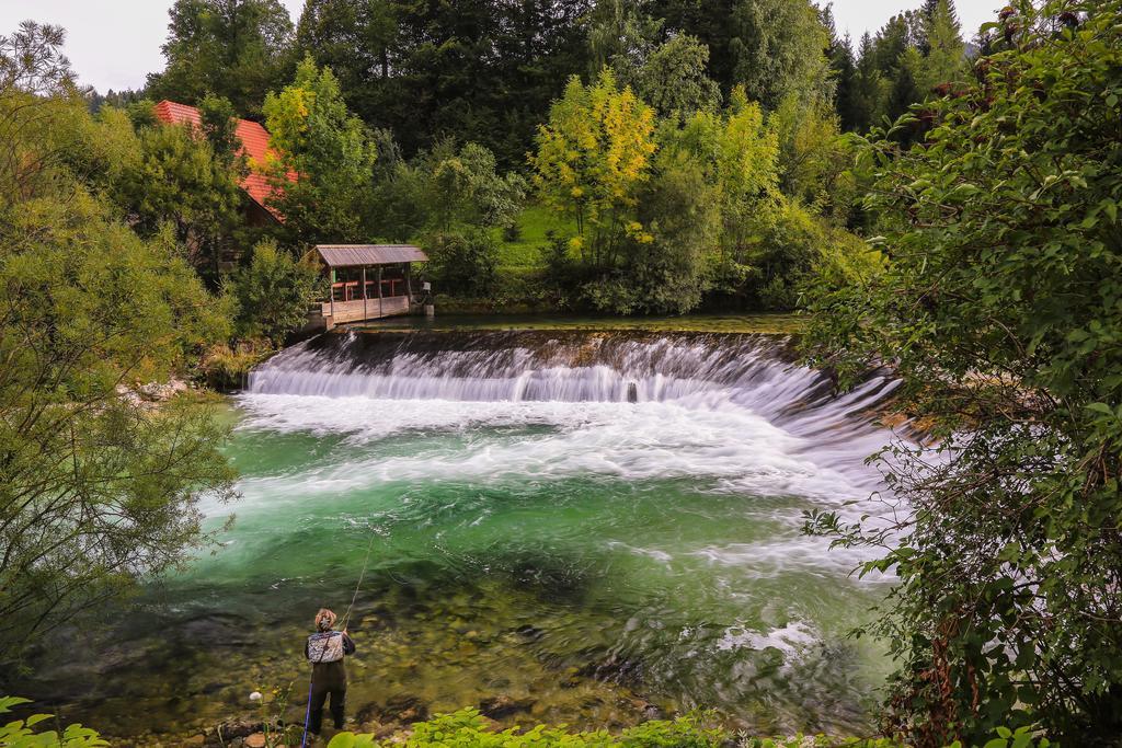 Brunarica Bled Zatrnik Pokljuka Ngoại thất bức ảnh