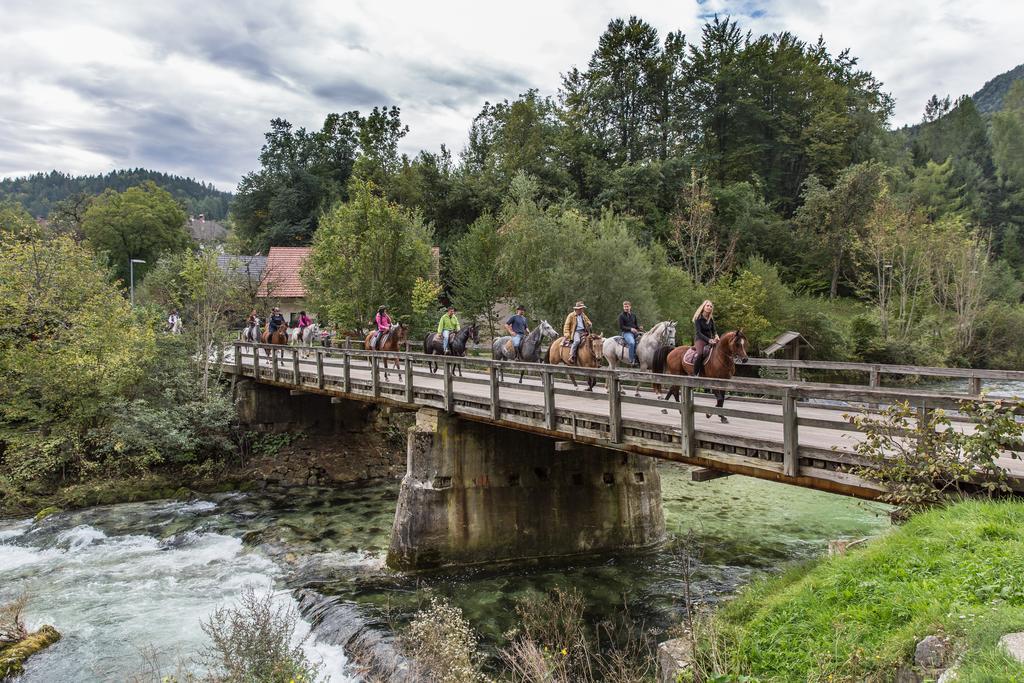 Brunarica Bled Zatrnik Pokljuka Ngoại thất bức ảnh