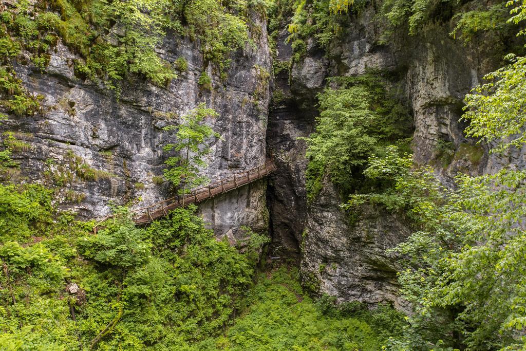 Brunarica Bled Zatrnik Pokljuka Ngoại thất bức ảnh