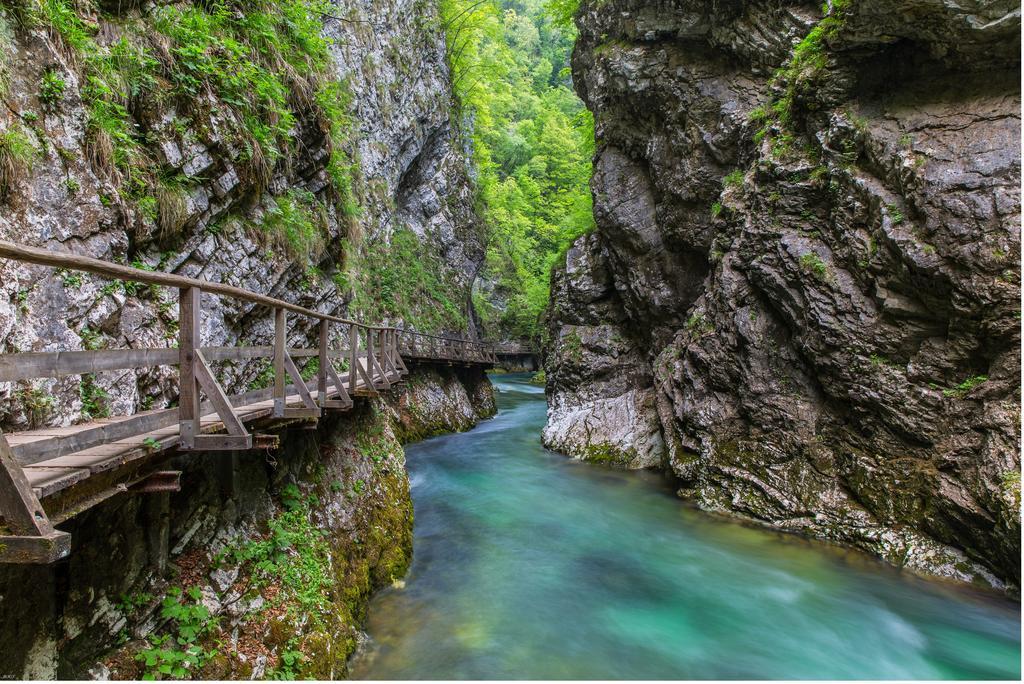 Brunarica Bled Zatrnik Pokljuka Ngoại thất bức ảnh