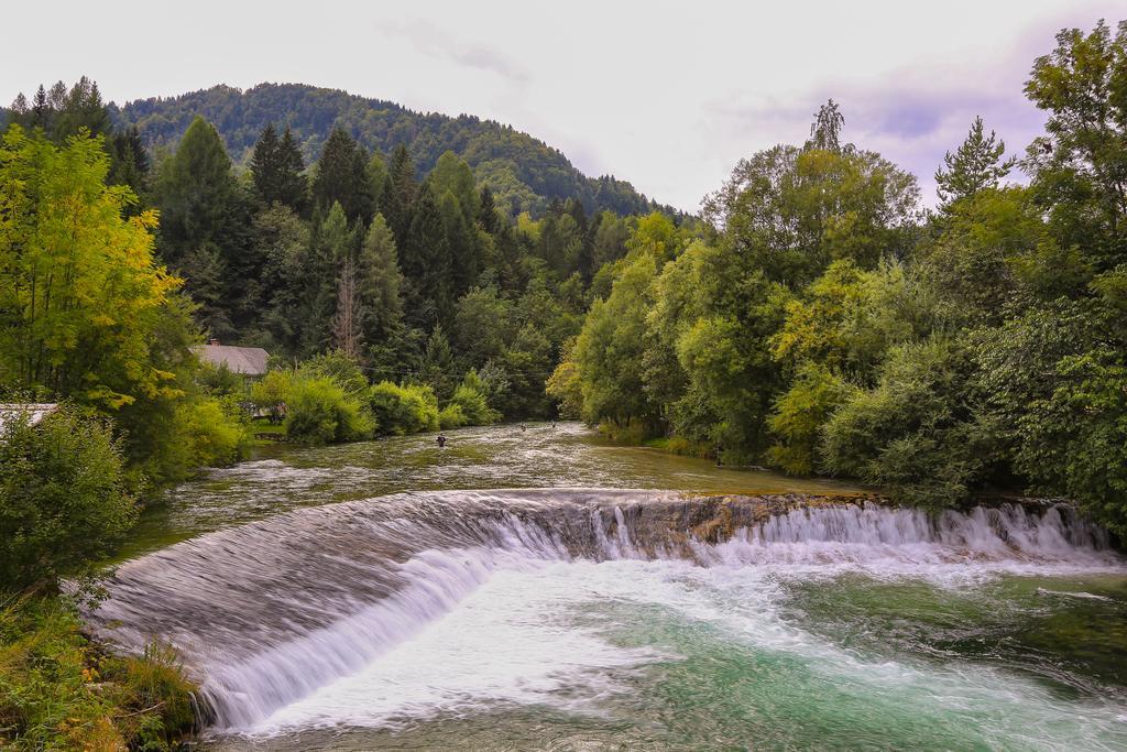 Brunarica Bled Zatrnik Pokljuka Ngoại thất bức ảnh